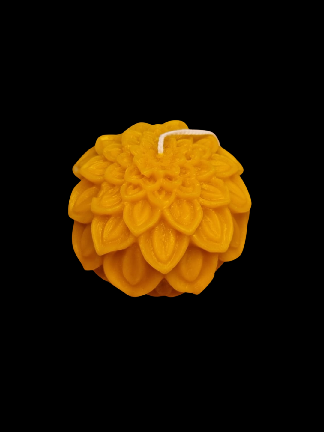 Fleur en cire d'abeilles